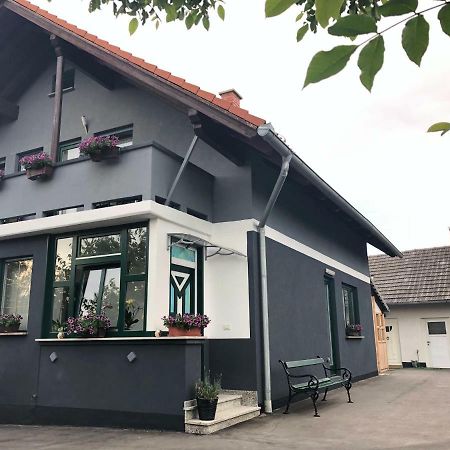 Apartman I Soba Hadela Sveti Martin Na Muri Esterno foto