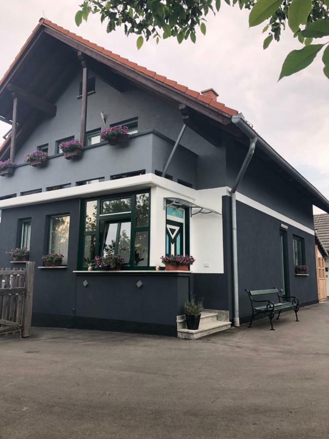 Apartman I Soba Hadela Sveti Martin Na Muri Esterno foto